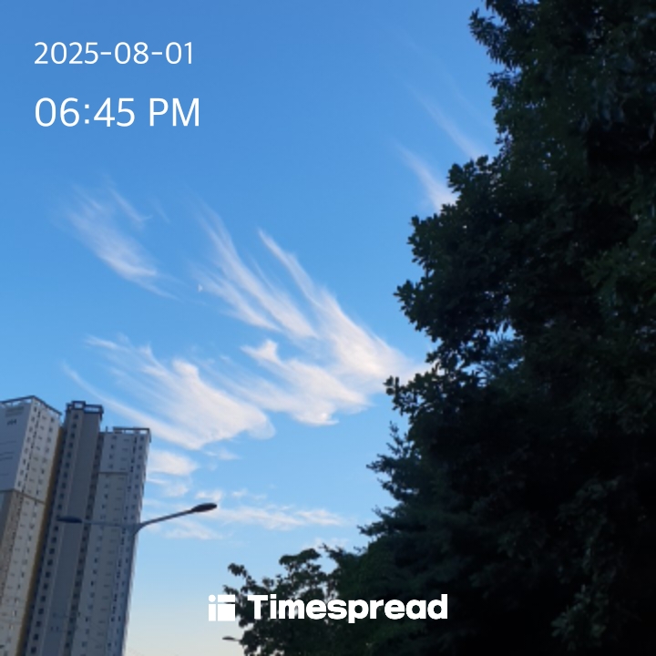 하늘보기