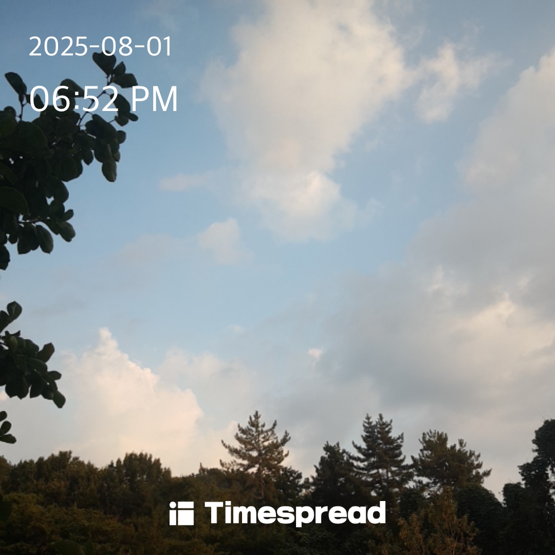 하늘보기 