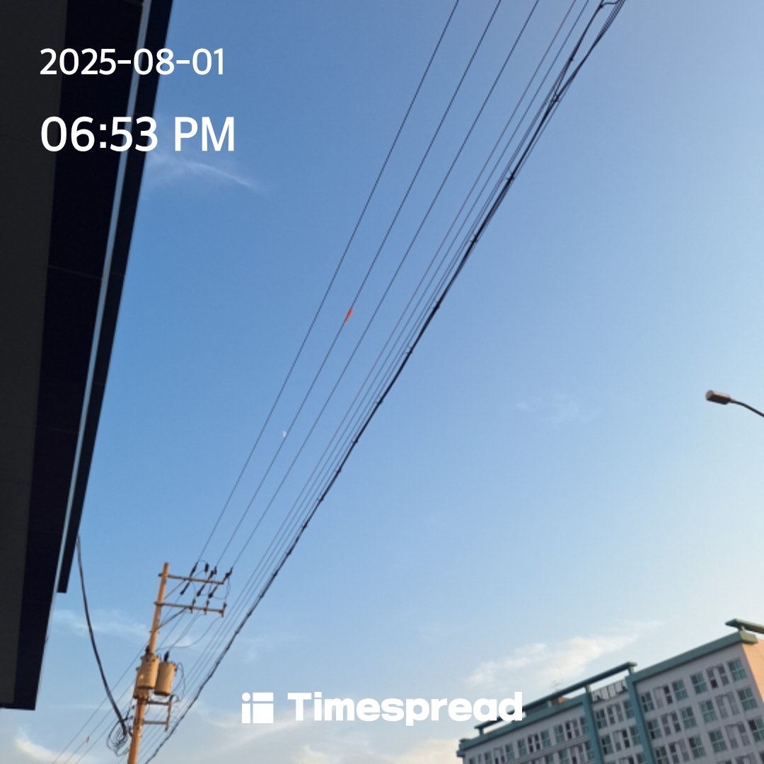 하늘보기 