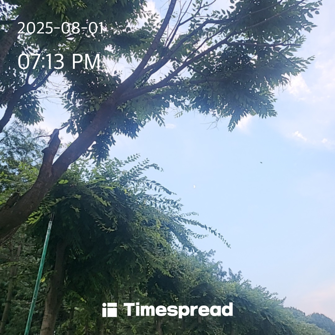 인증