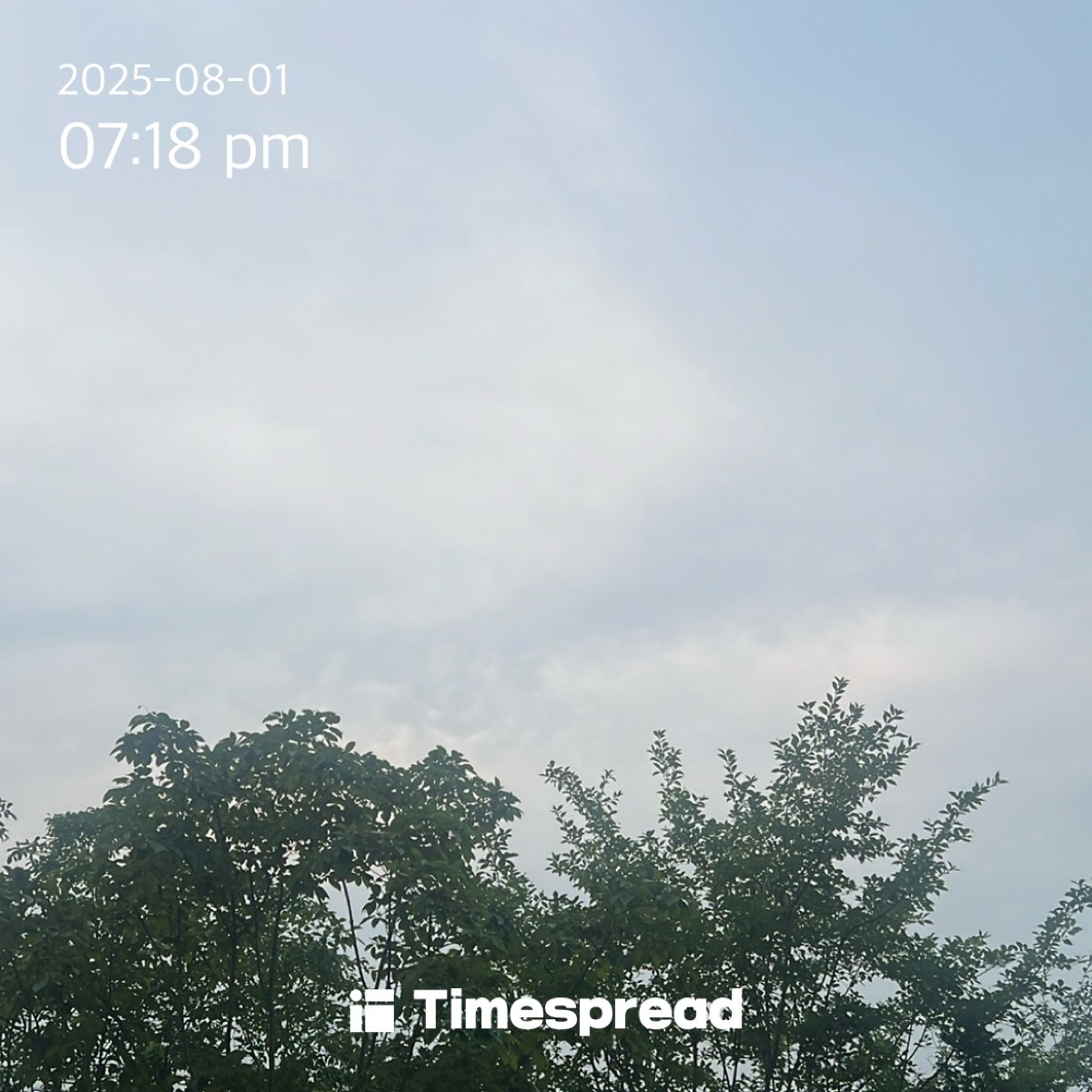 인증