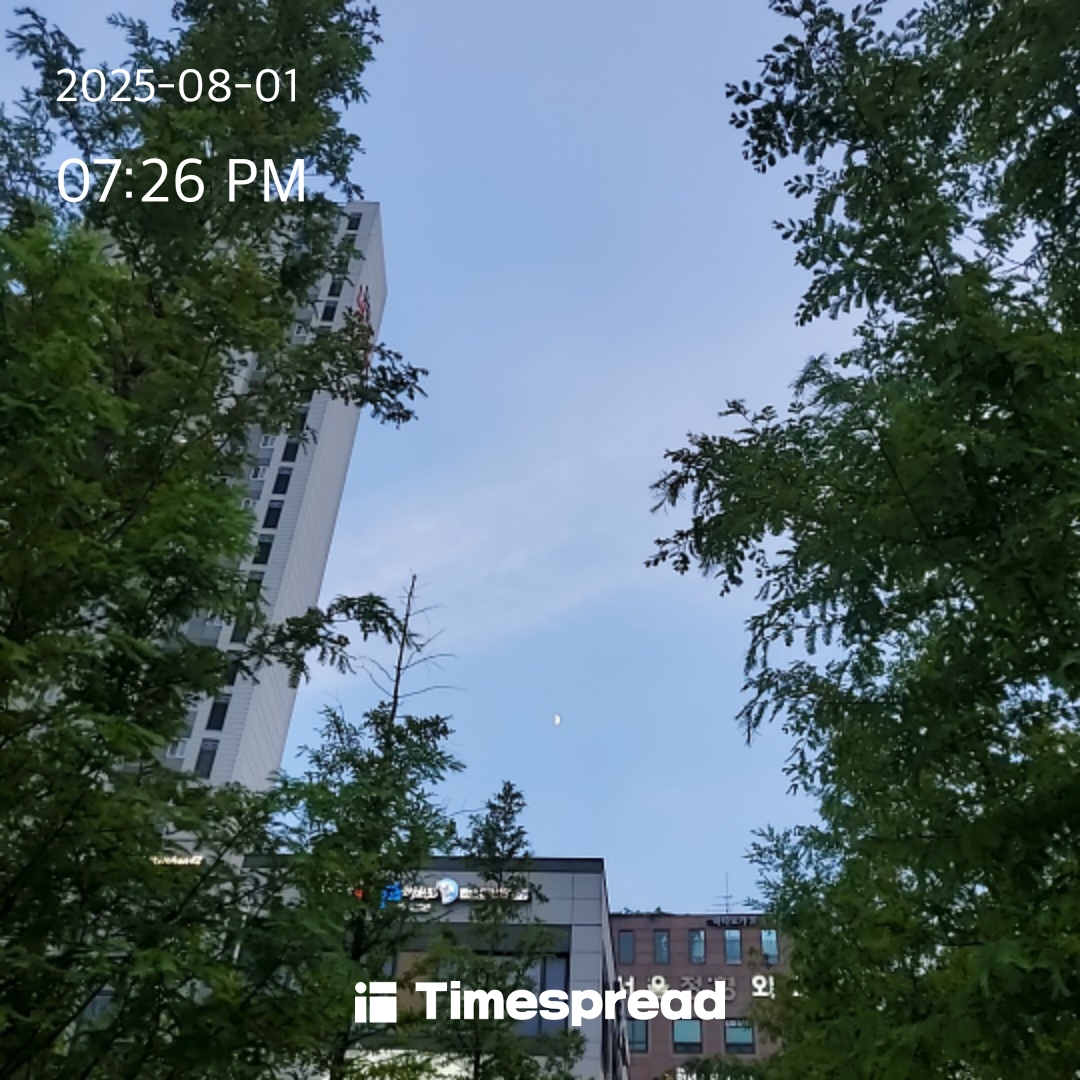 딱 반달이 보이네요