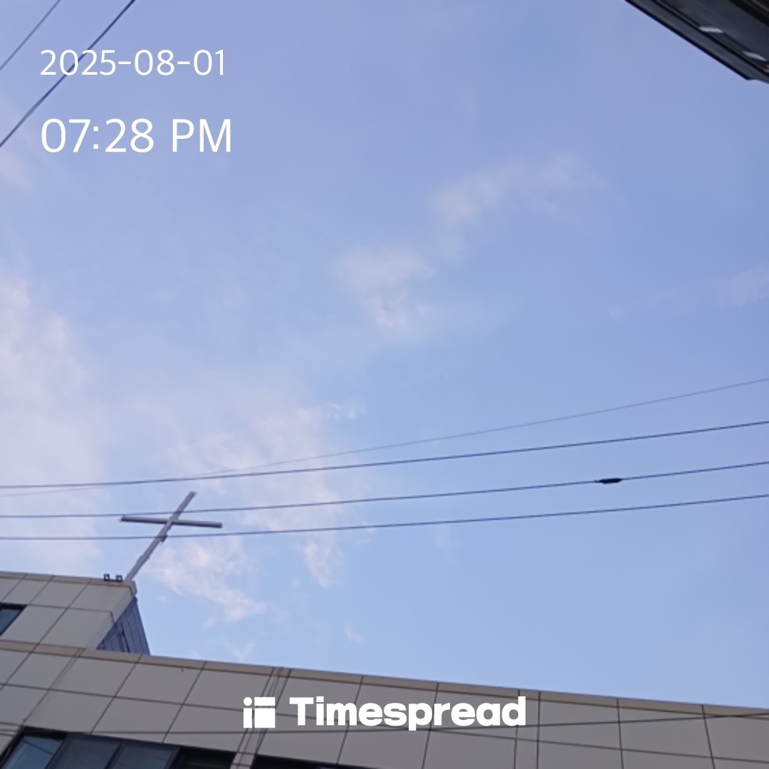 하늘보기