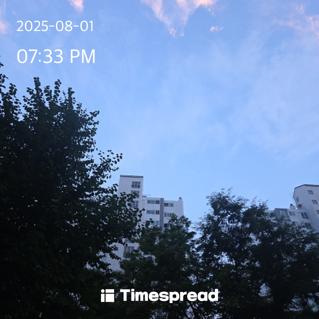 하늘보기