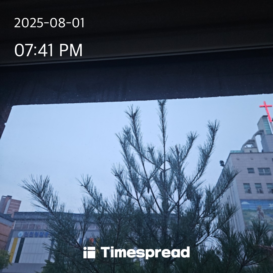하늘보기