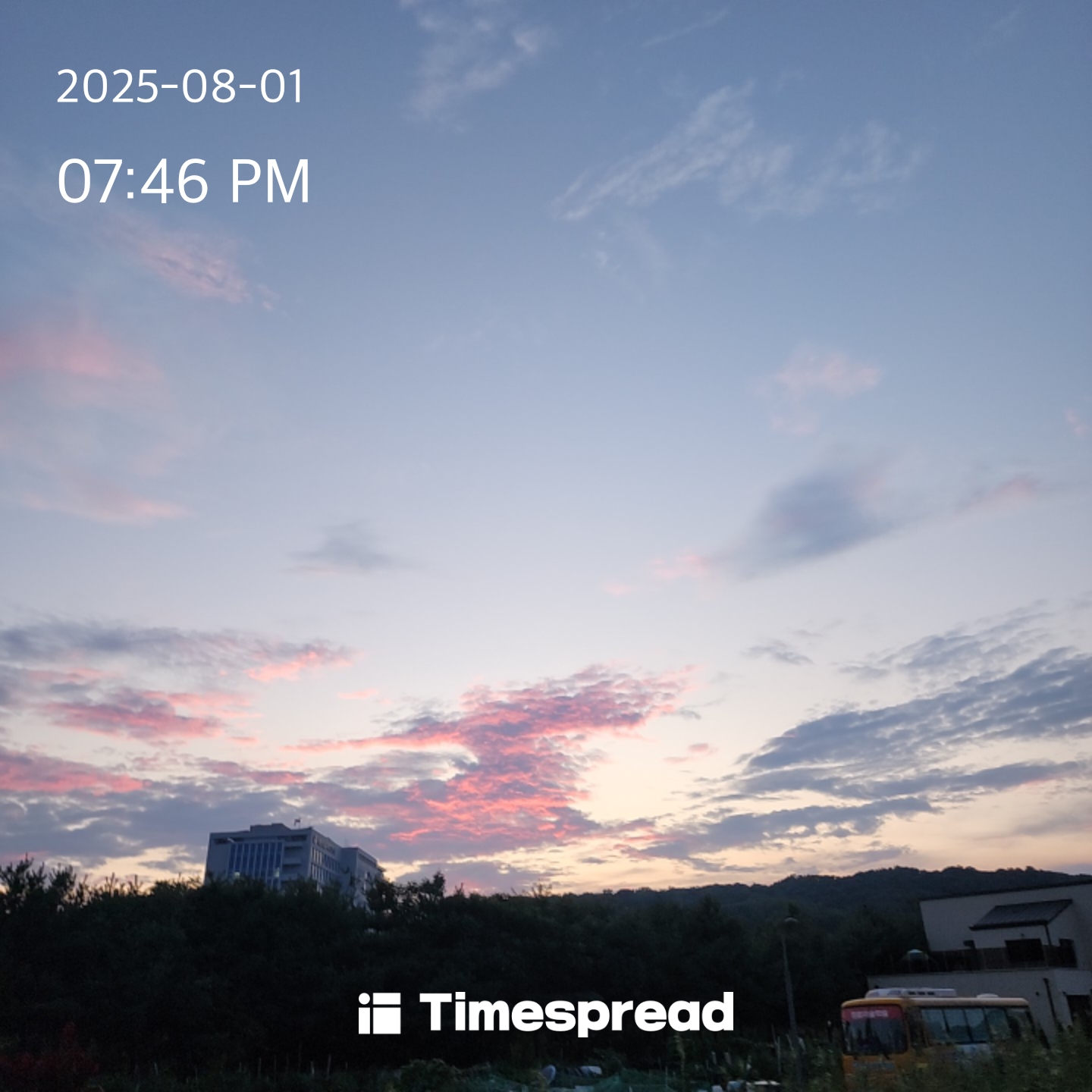 동네