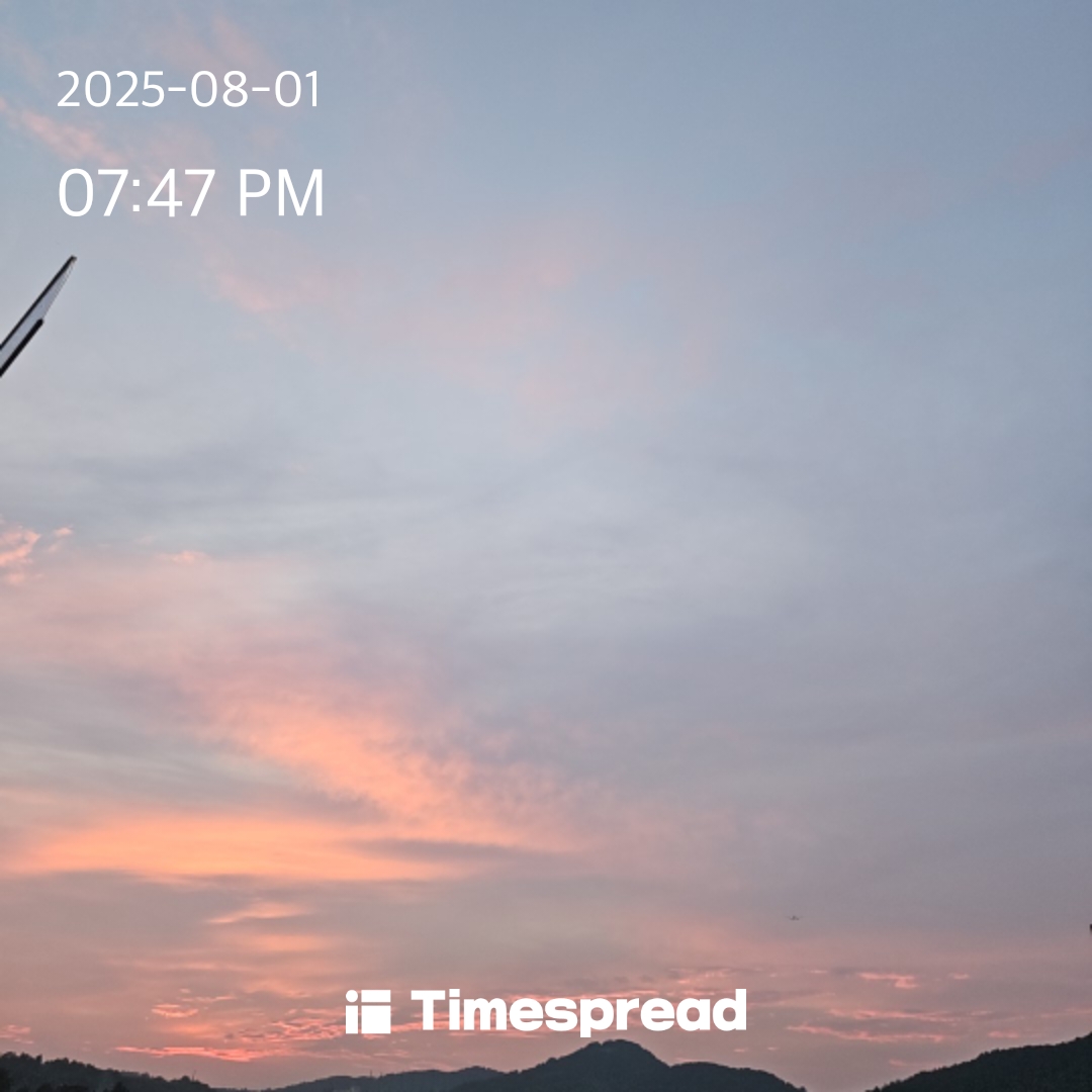 하늘보기