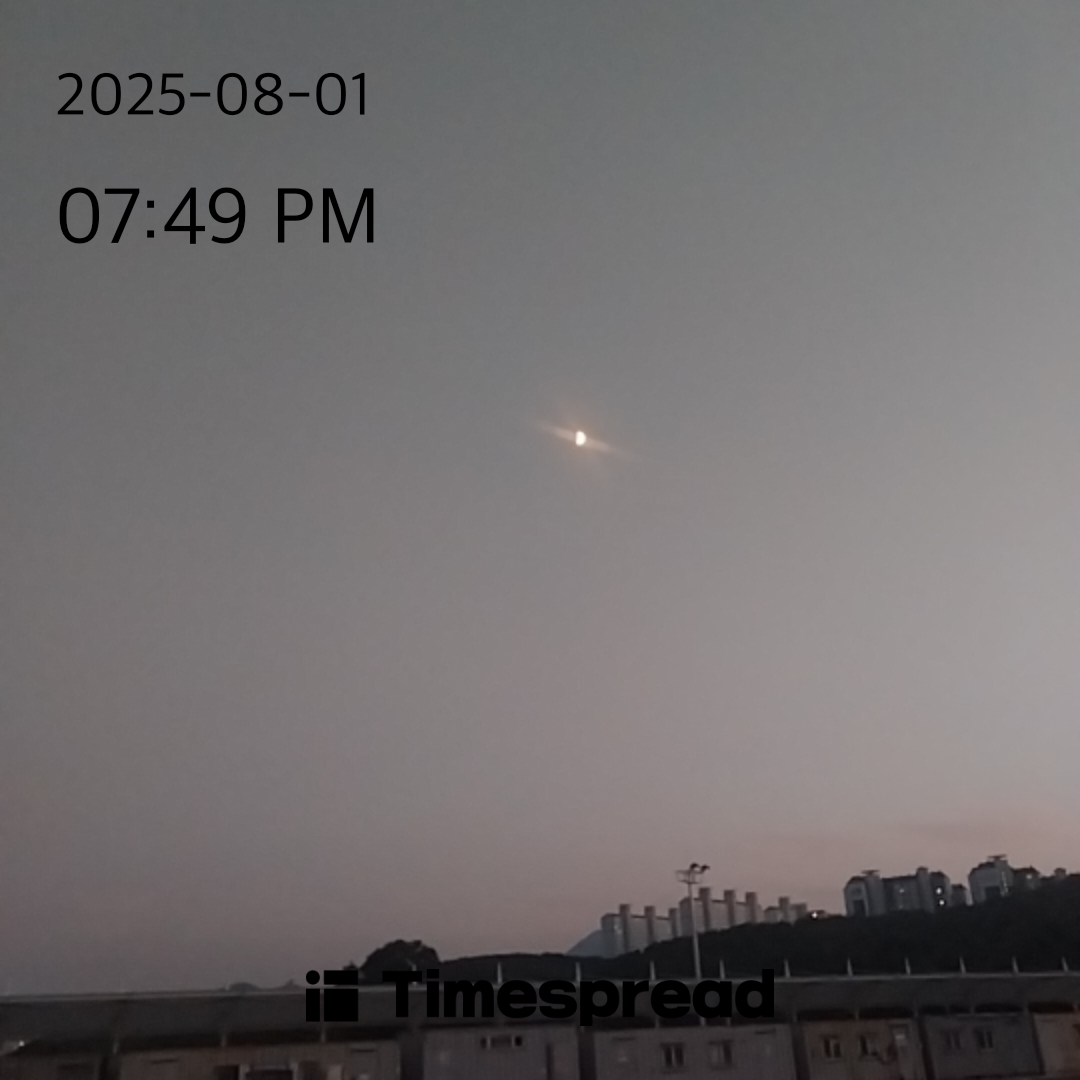 하늘보기 