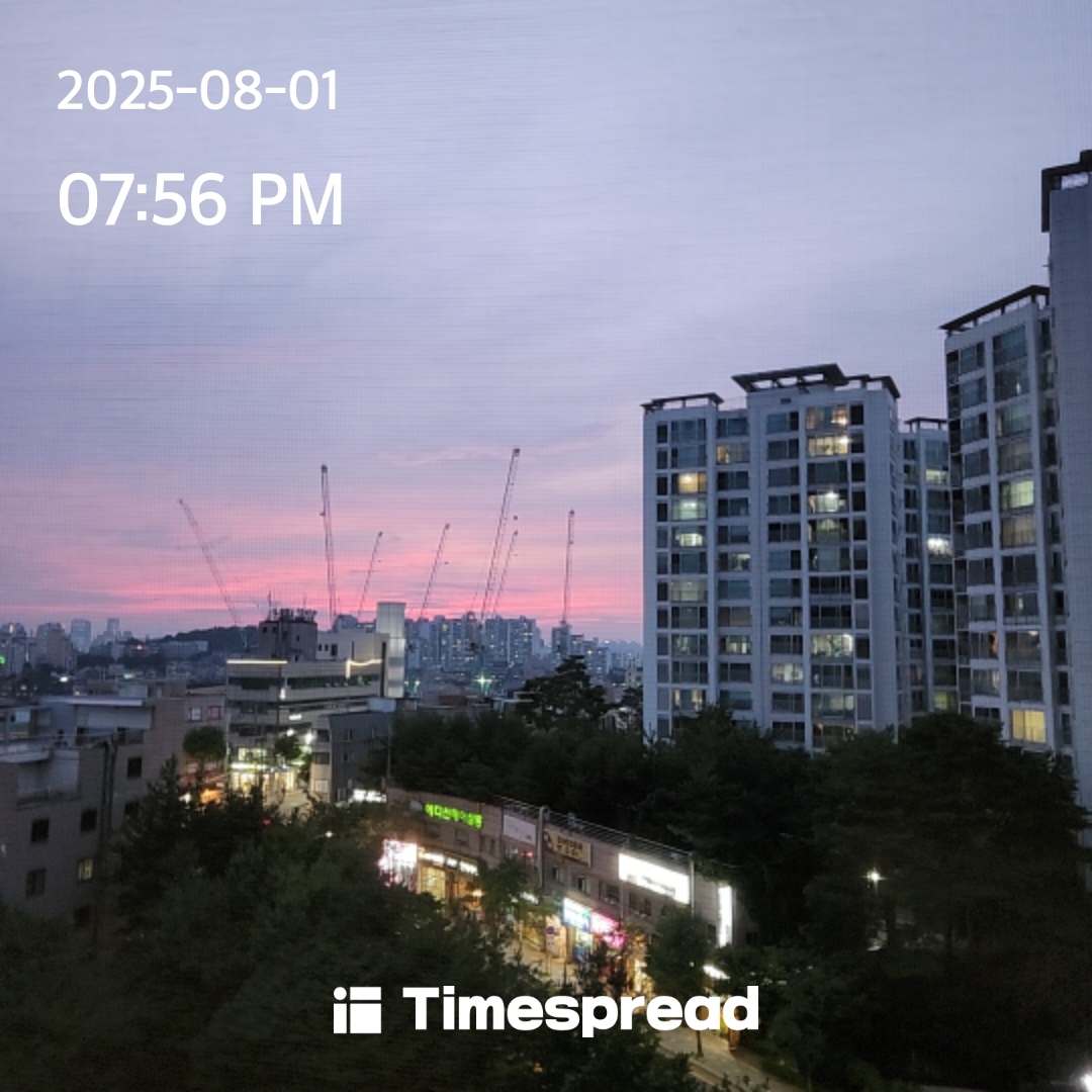 하늘보기 