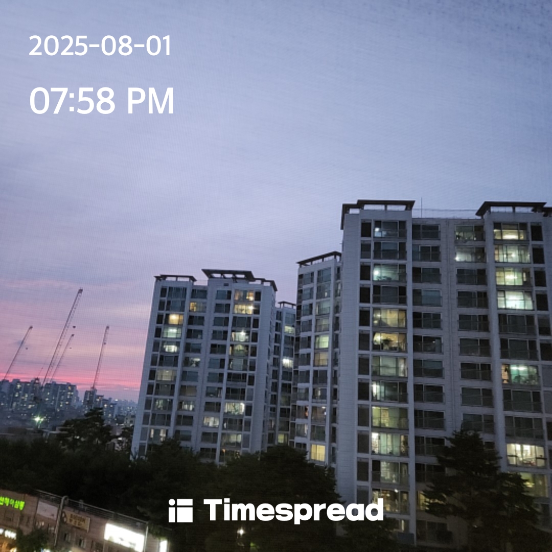 하늘보기 