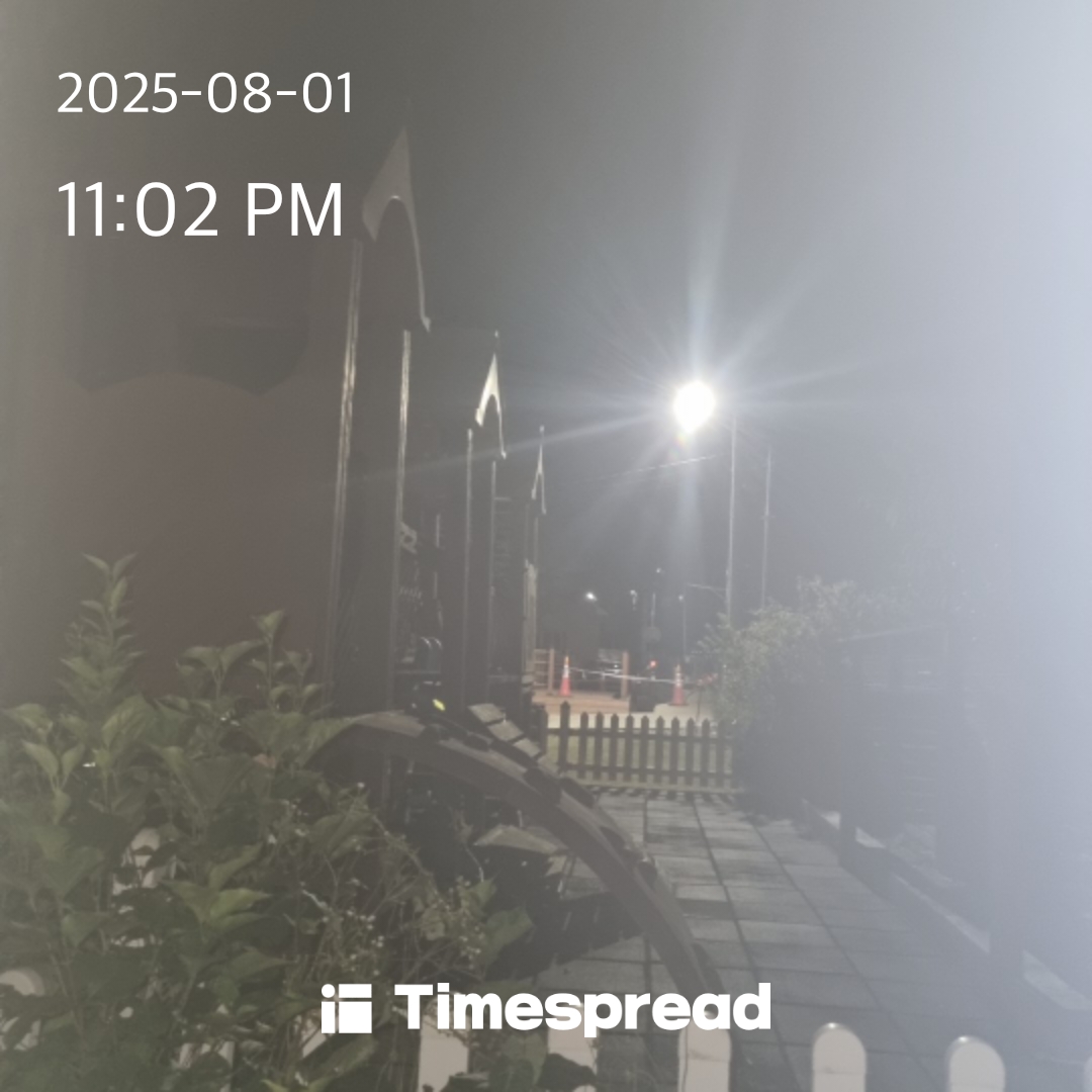 밤하늘보기 