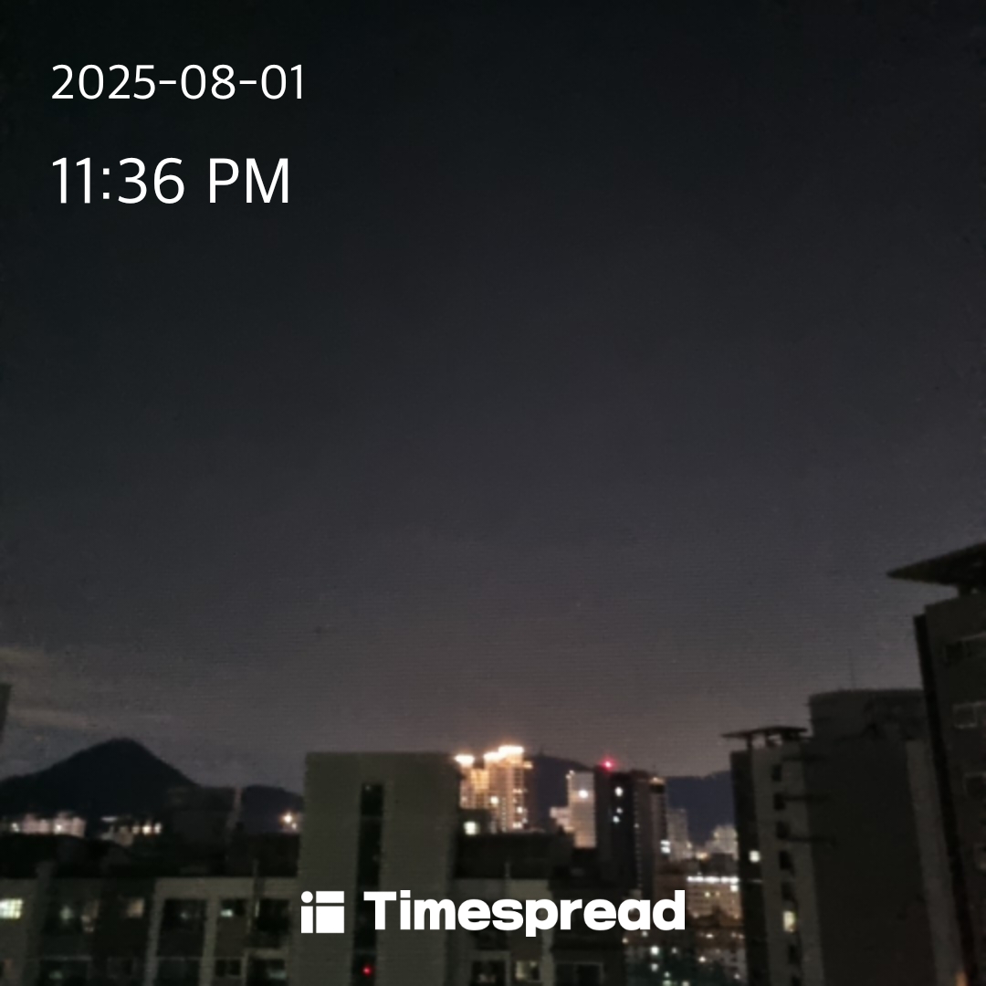 8일