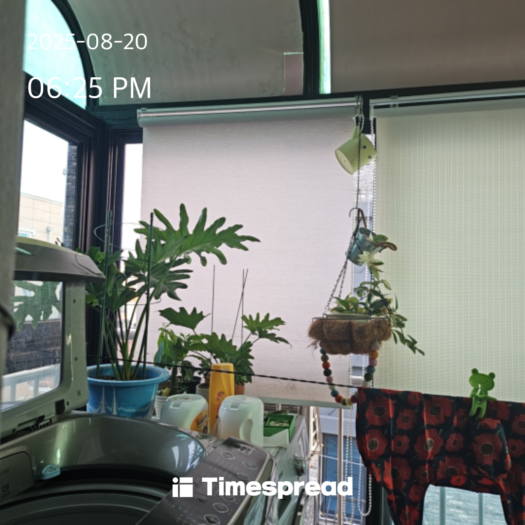board-img