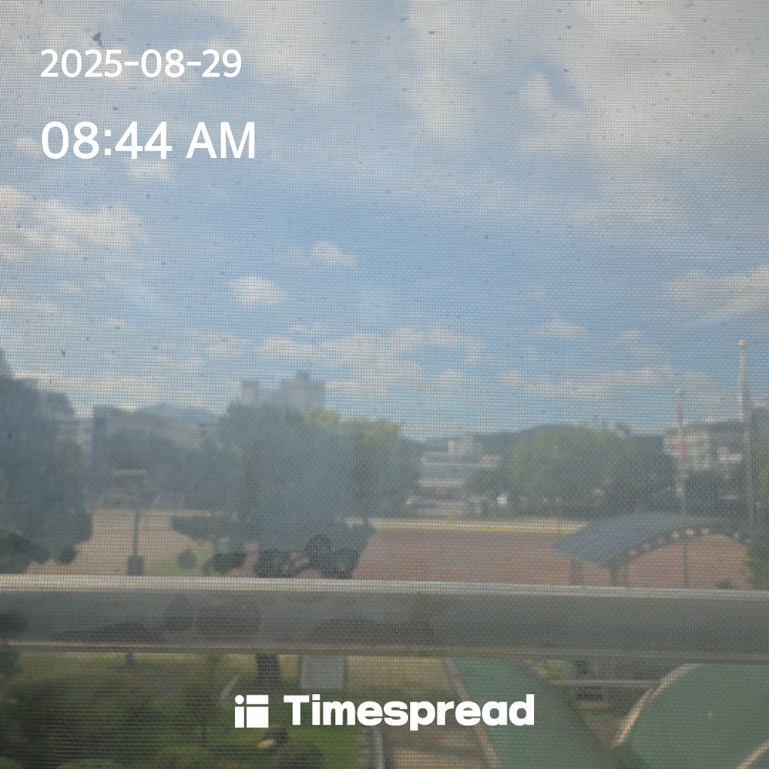 board-img