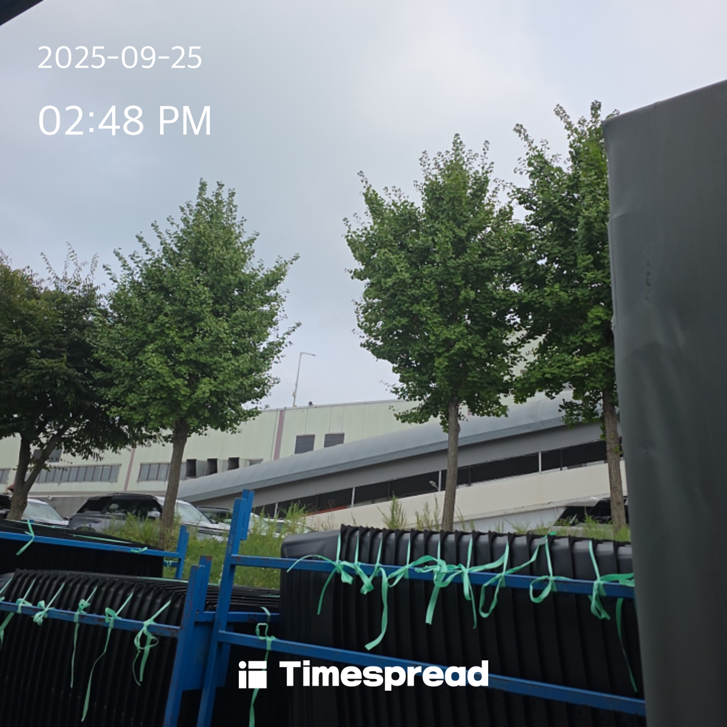 board-img