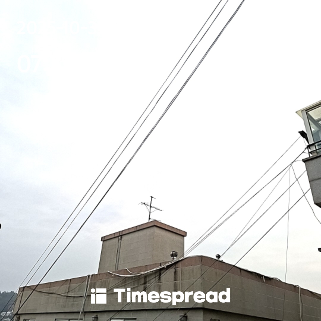 하늘보기챌린지