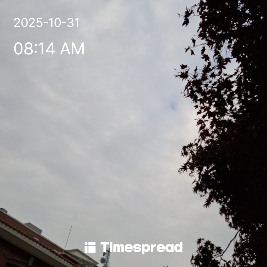 금요일 하늘보기 챌린지 시작 합니다.