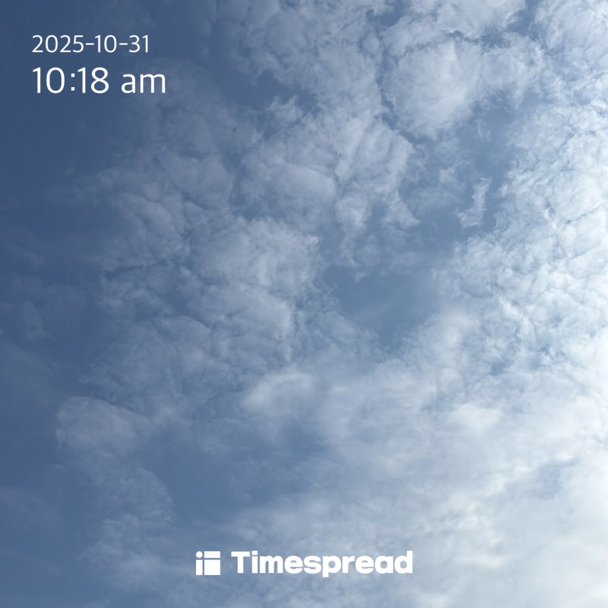 기분좋은 금요일의 하늘