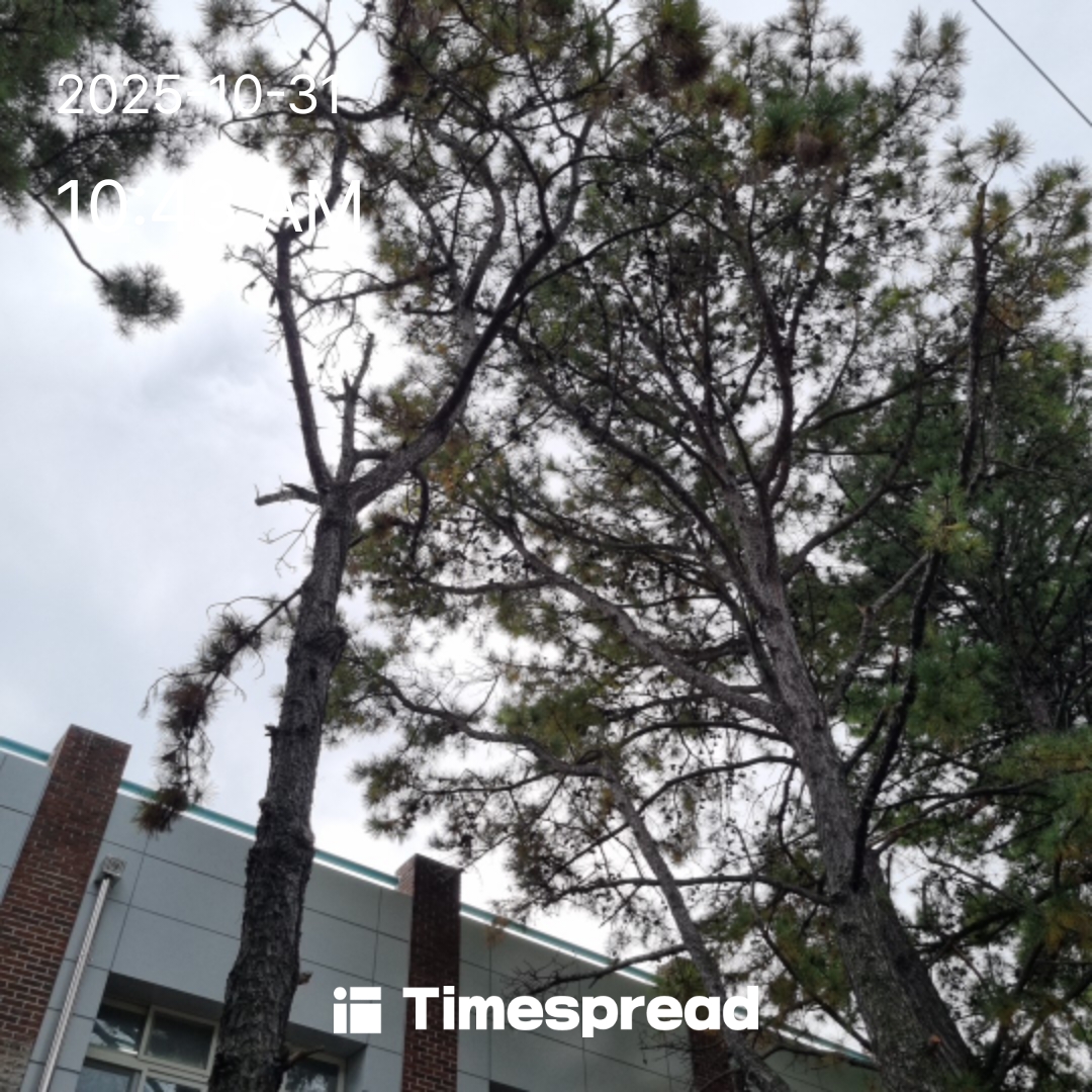 비가 올거 같은 하늘