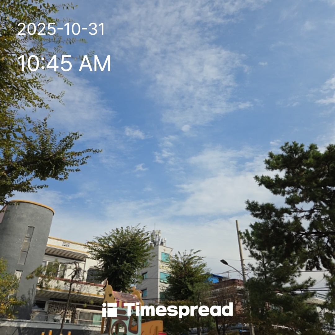 하늘보기 챌린지 ㆍ