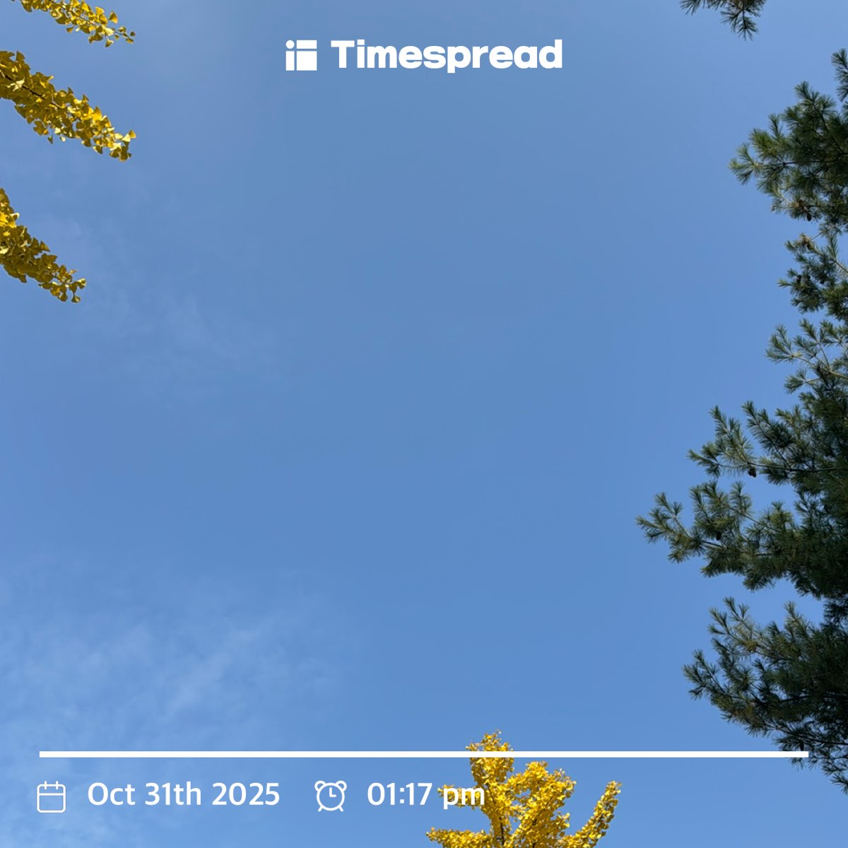 하늘보기 챌린지