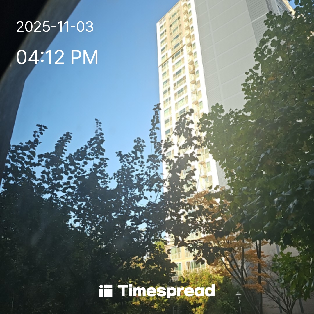 하늘 보기 인증해요