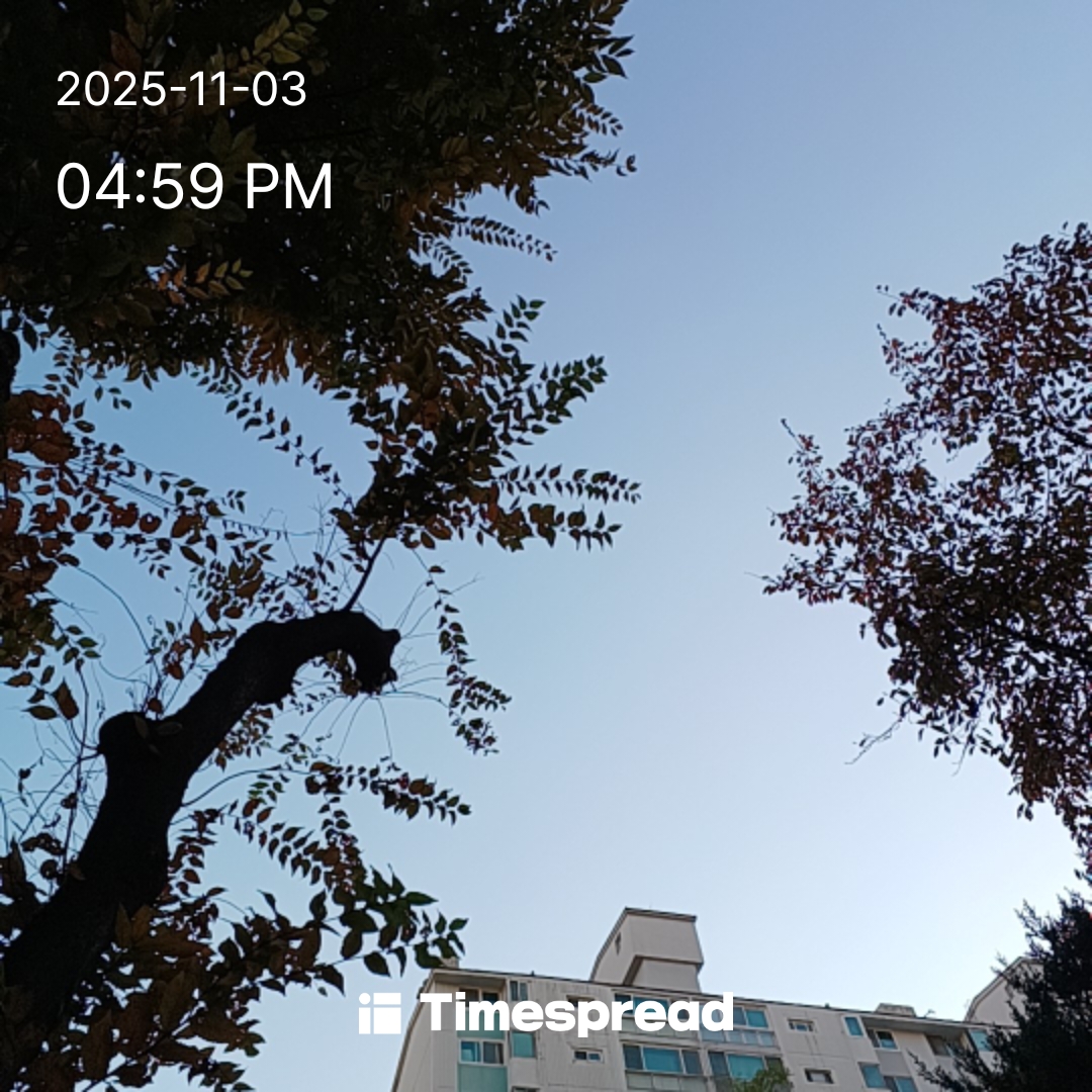 하늘보기 1일차