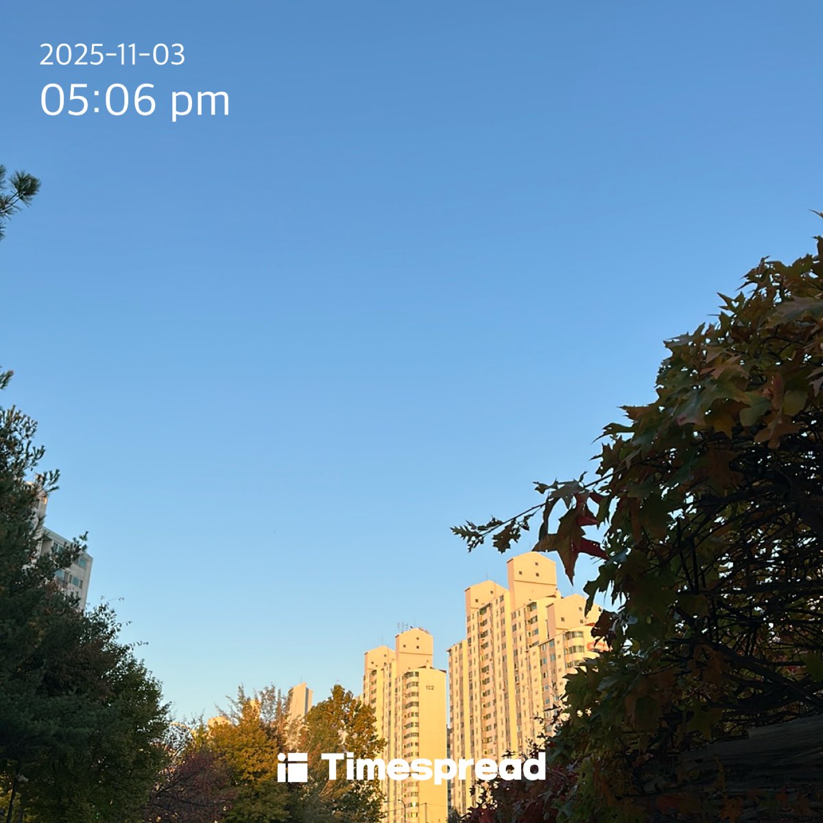 하루 한 번 하늘 사진 찍기