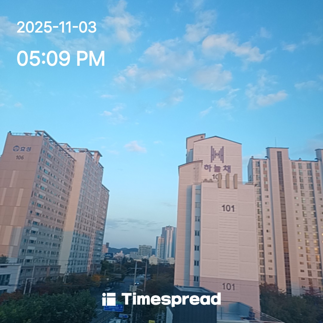 하늘보기1일차인증