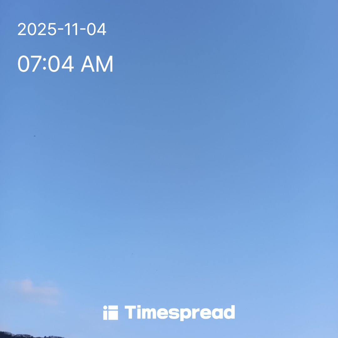 하늘보기챌린지