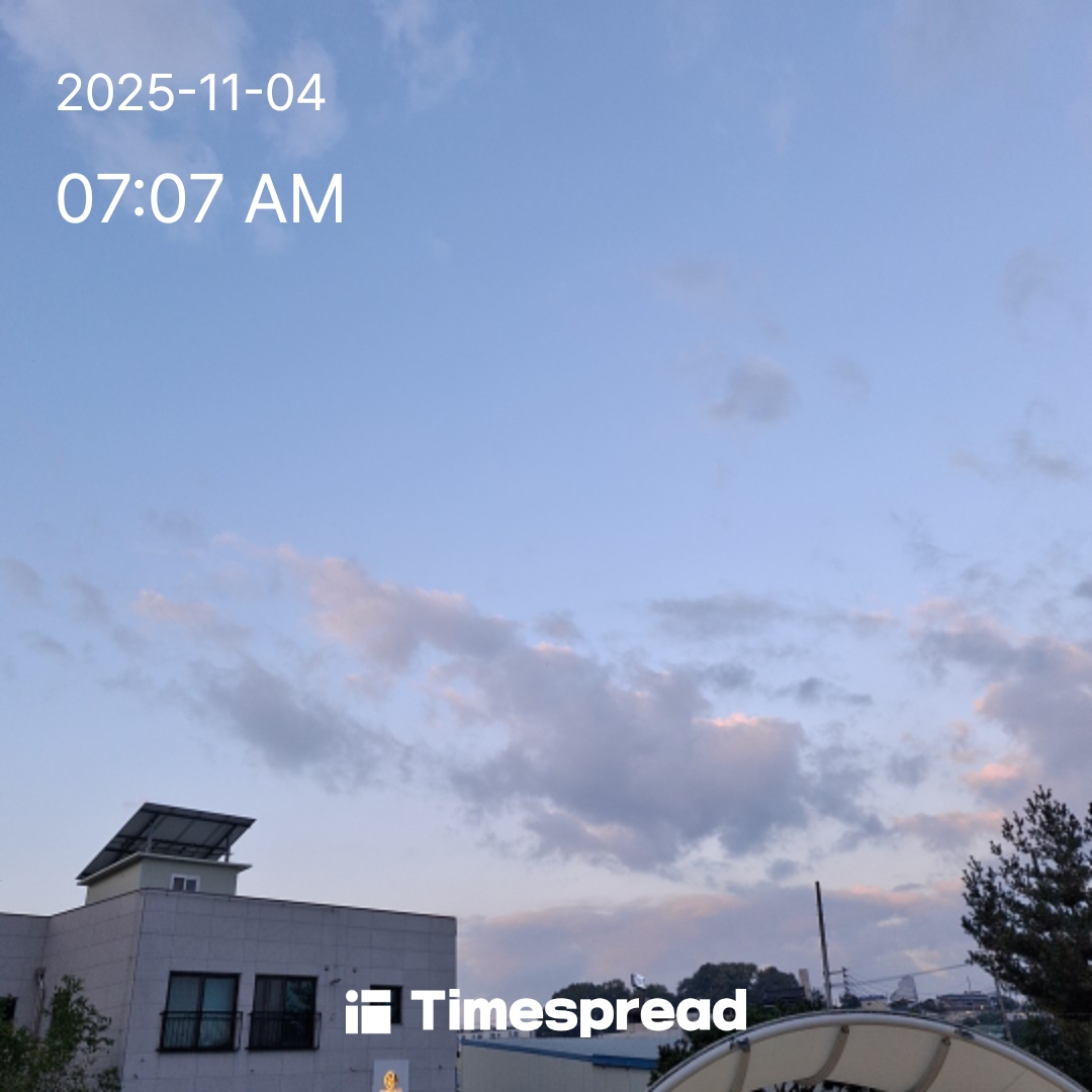 하늘보기 9회 인증