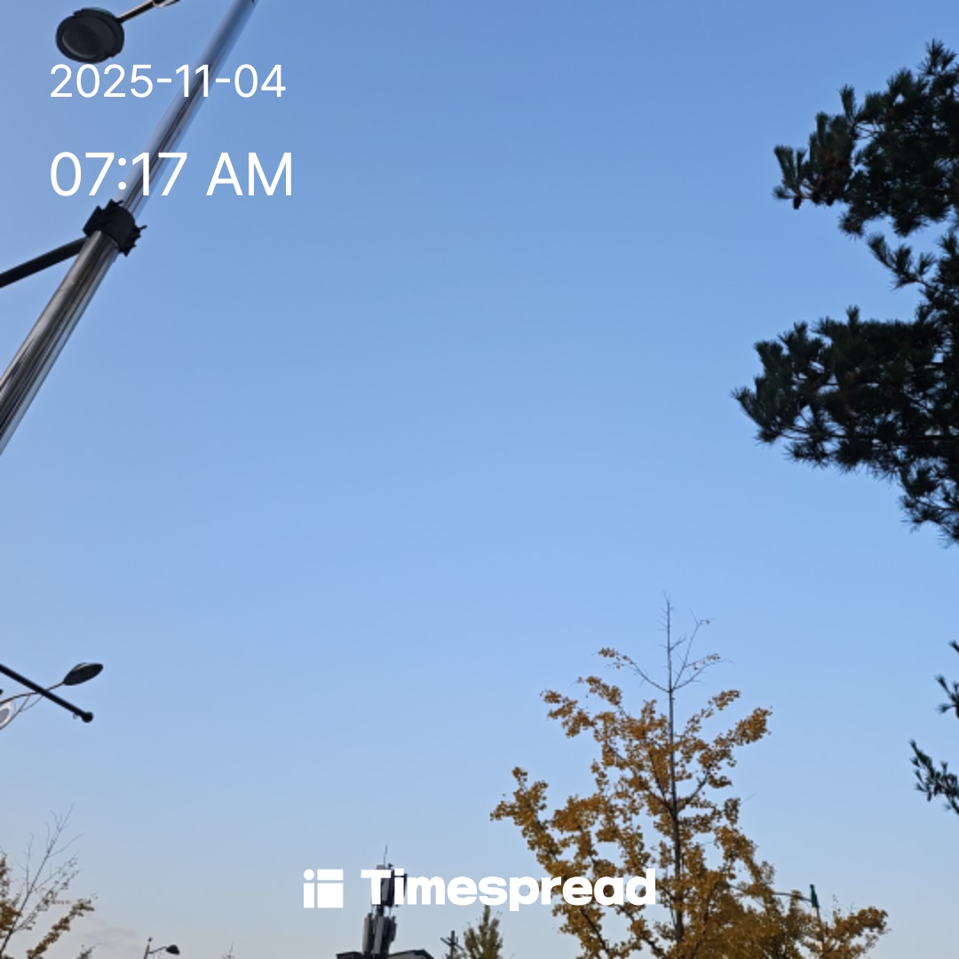 하늘보기 10일차인증합니다