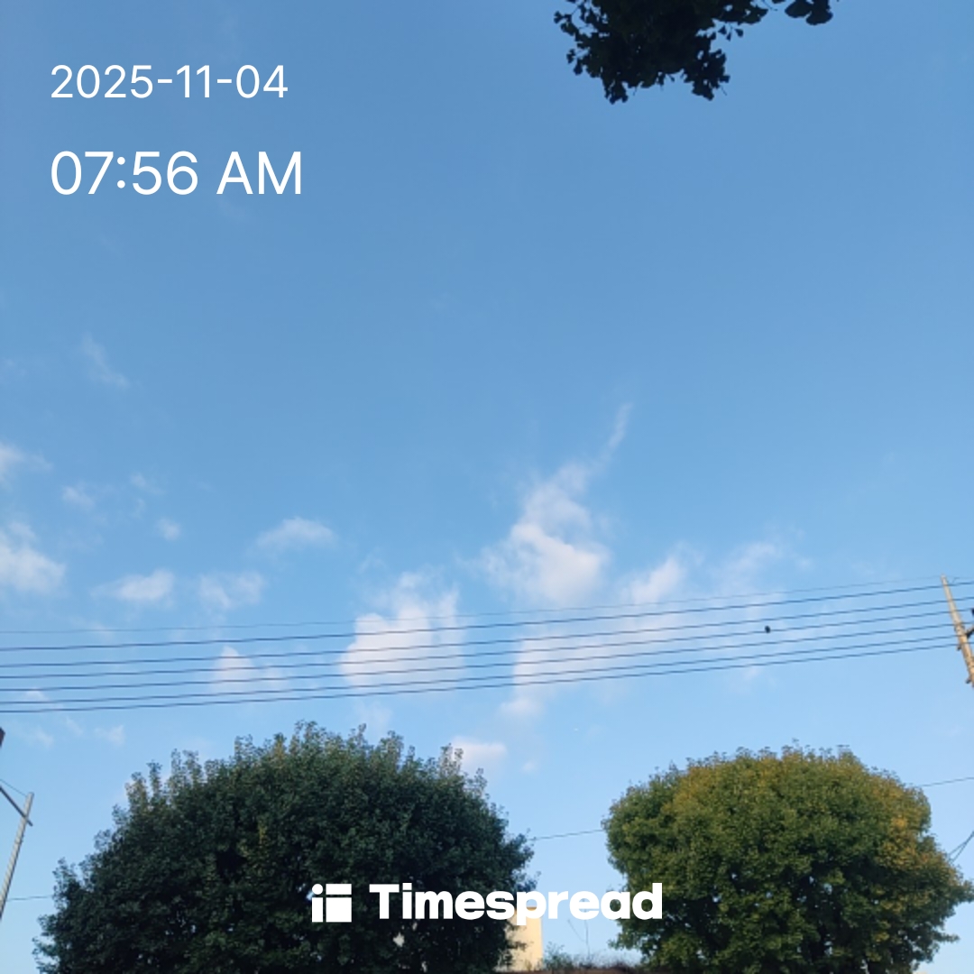 하늘보기 챌린지