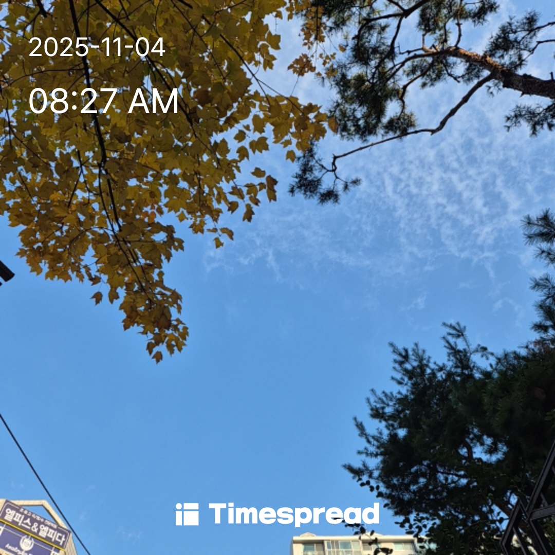 하늘보기 챌린지