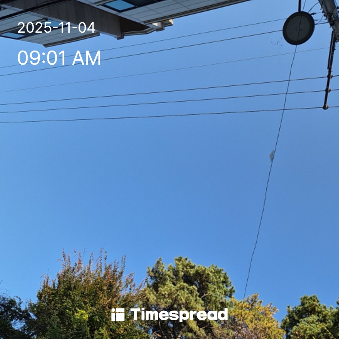 챌린지 7일차 인증