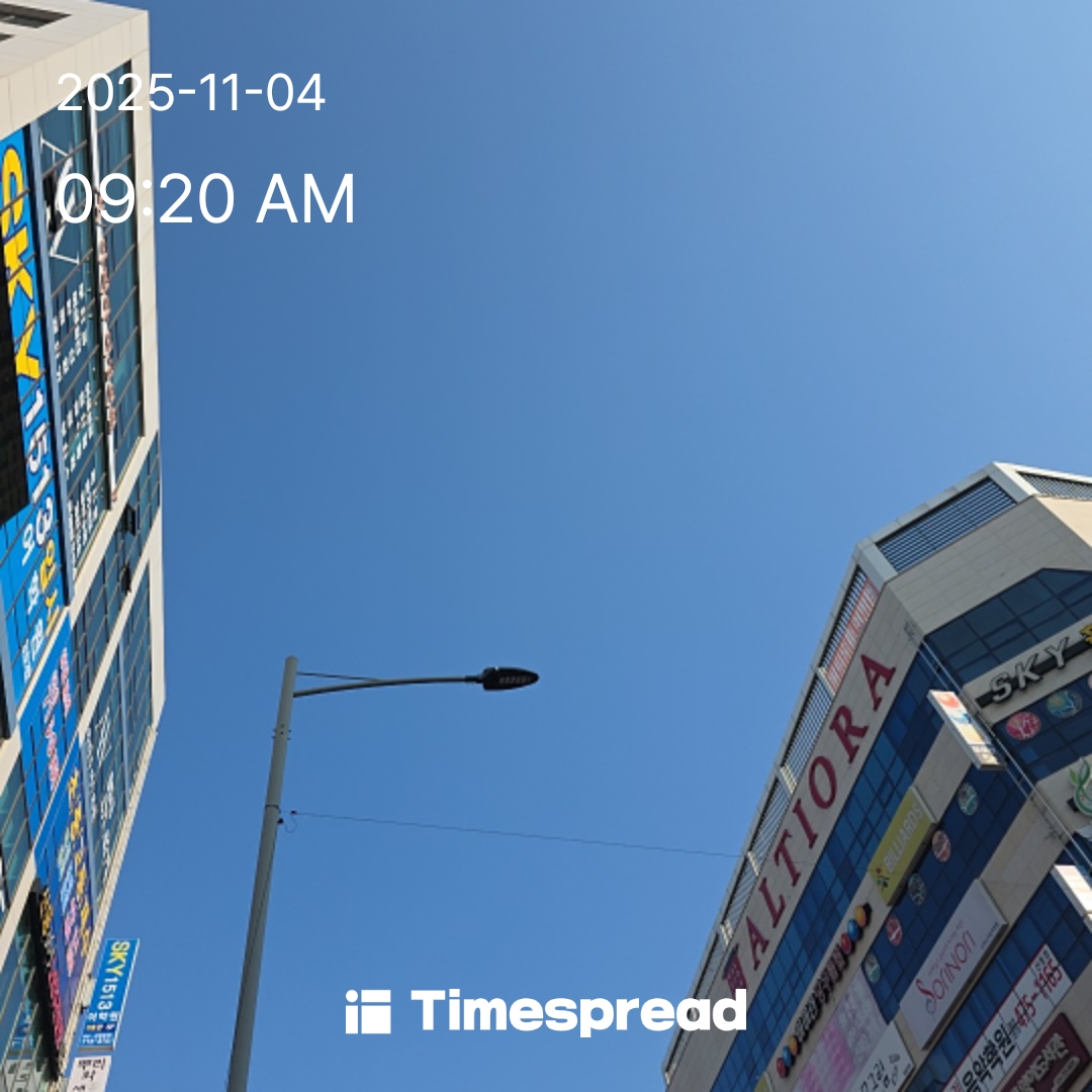 하늘보기챌린지