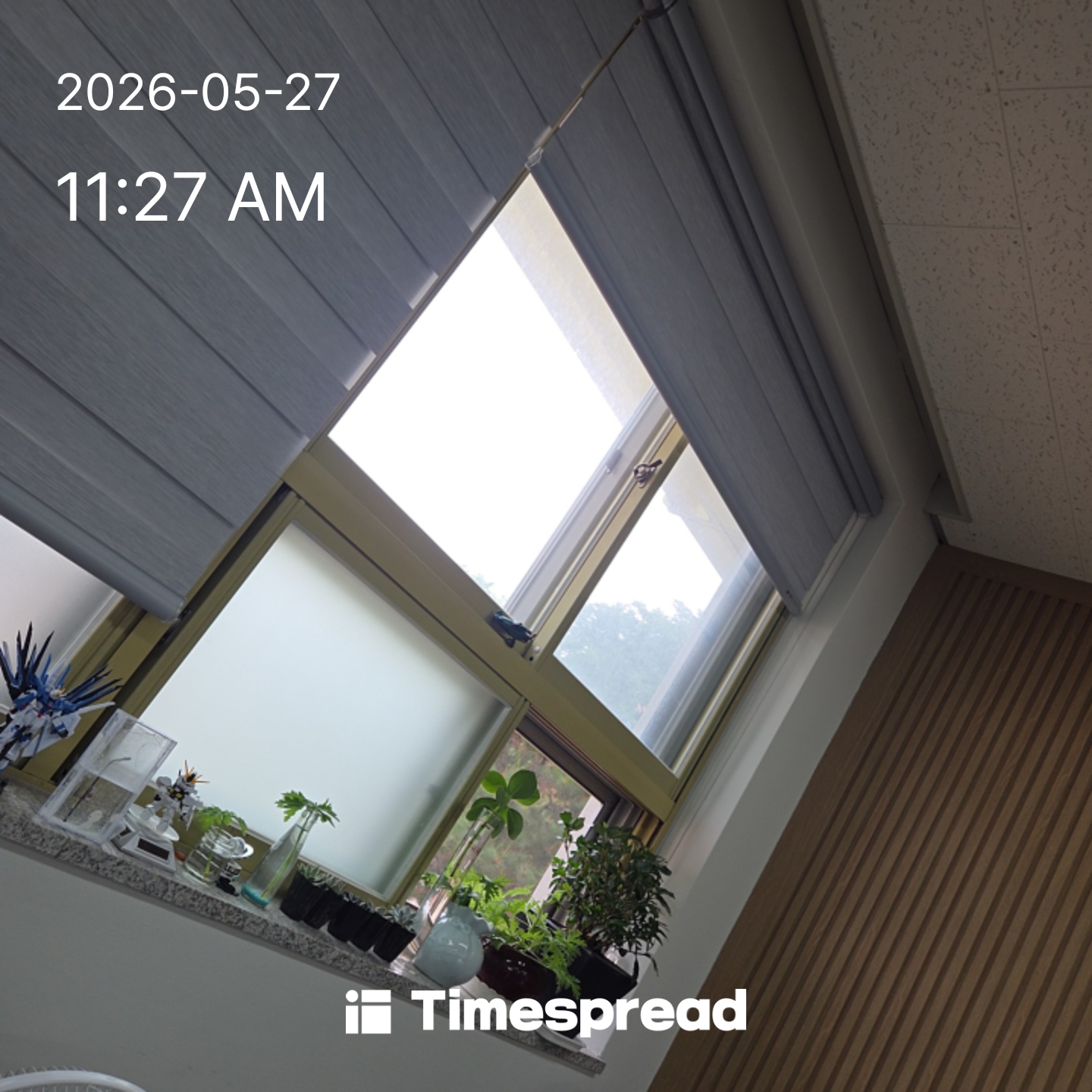 board-img
