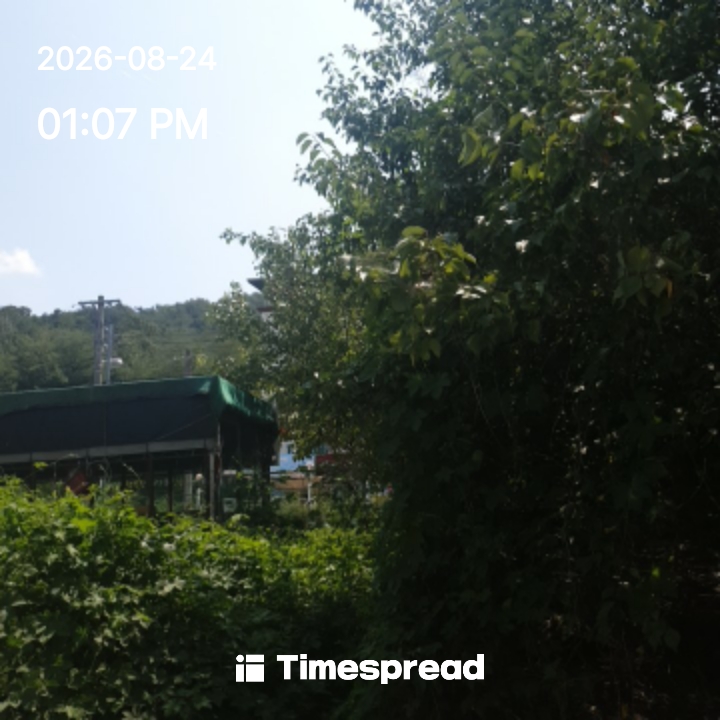 board-img
