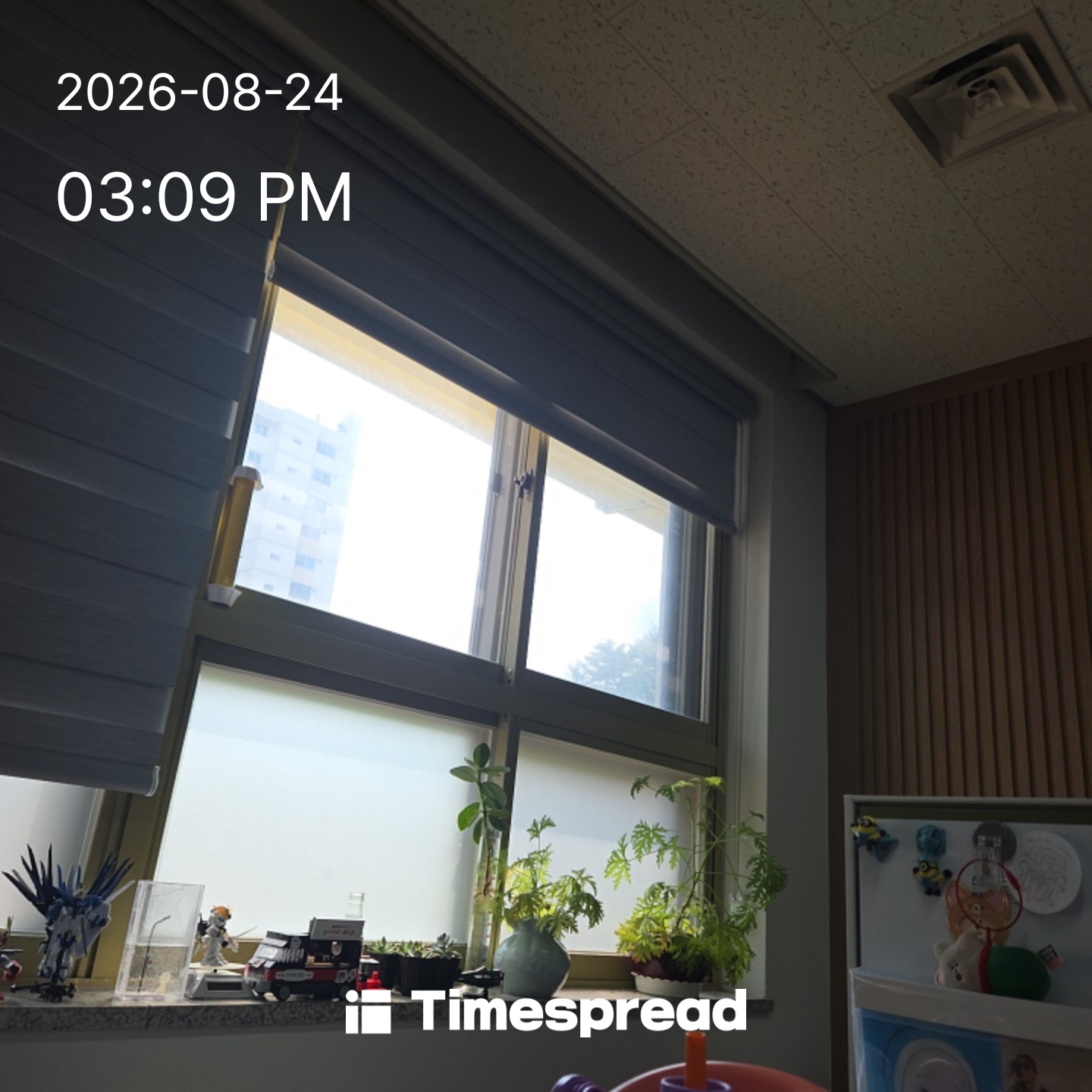 board-img