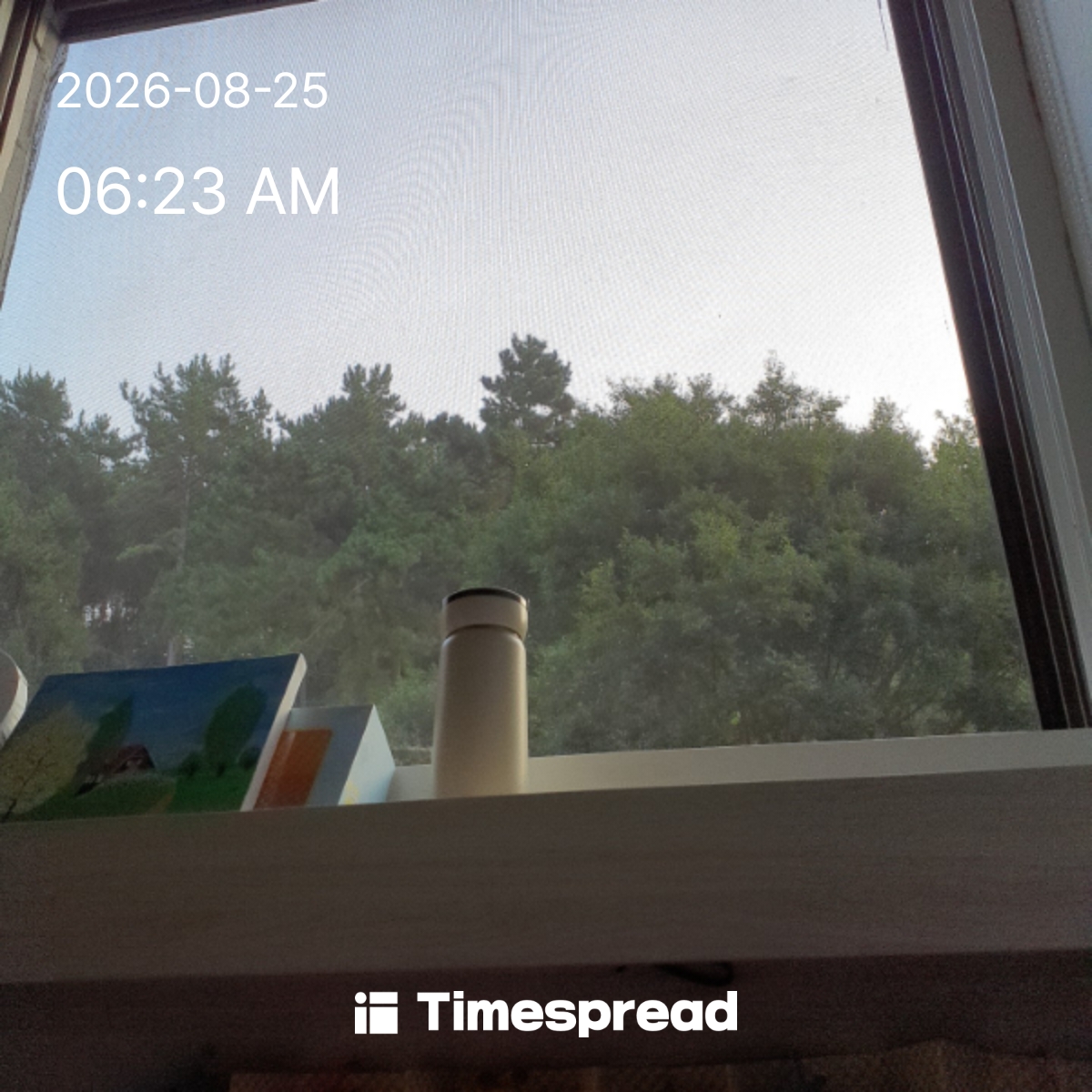 board-img