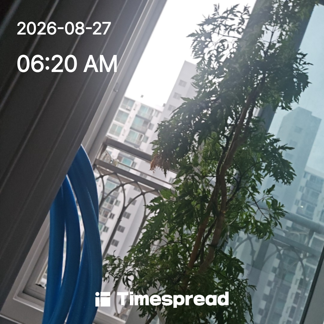 board-img