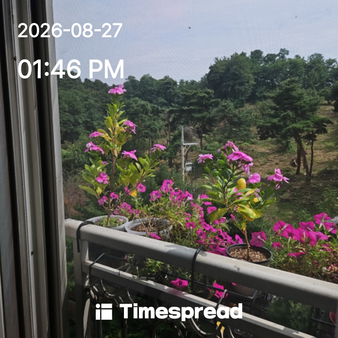board-img