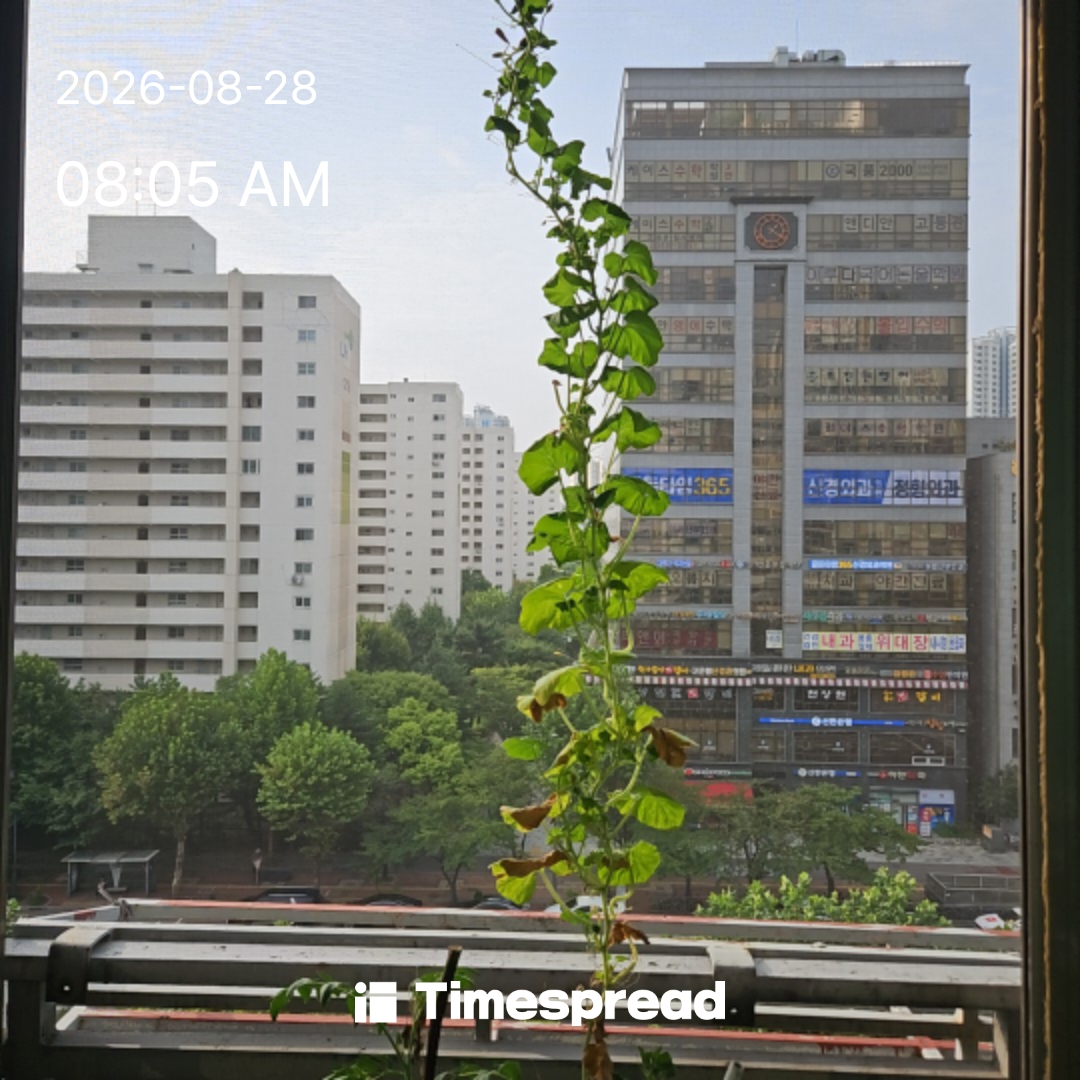 board-img