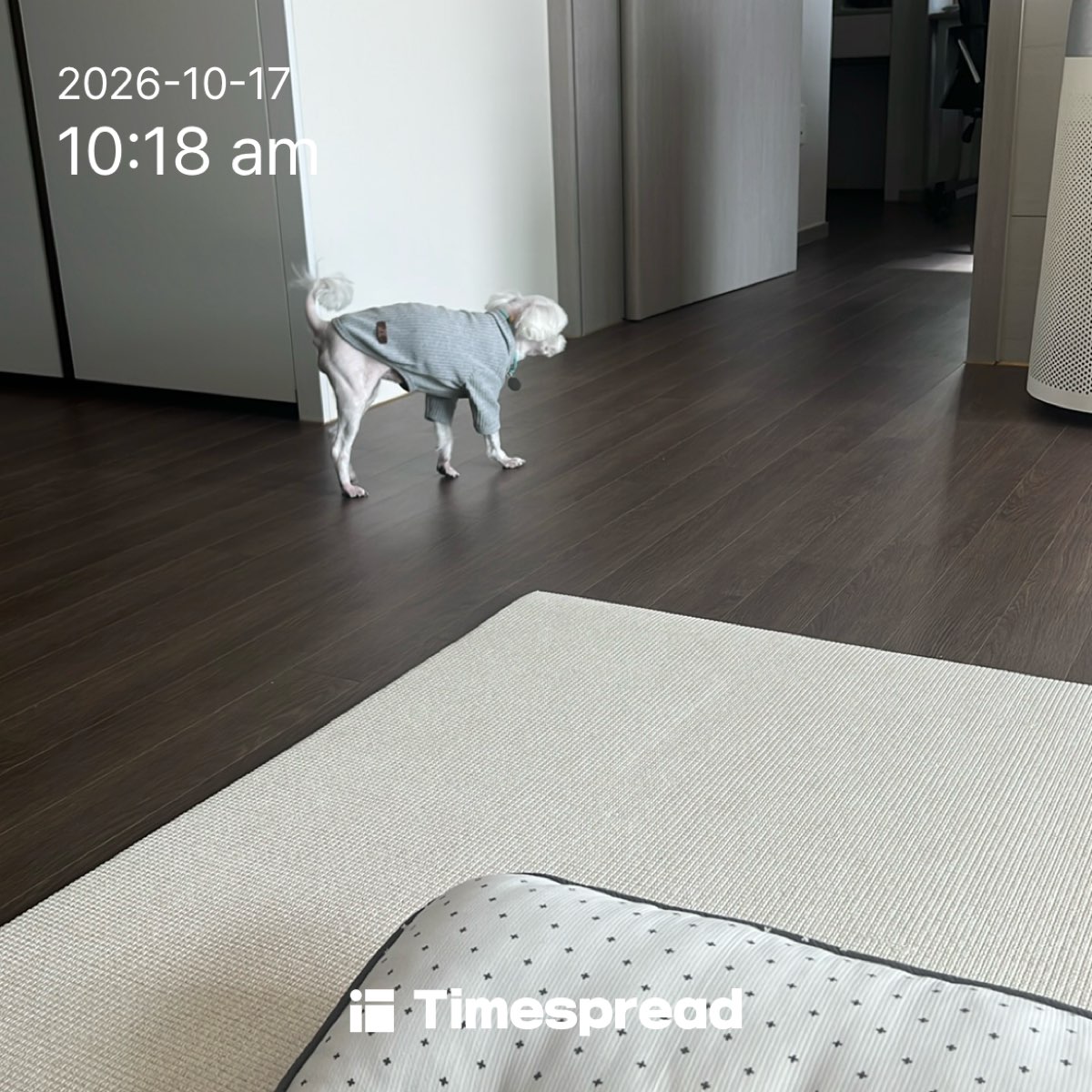 board-img