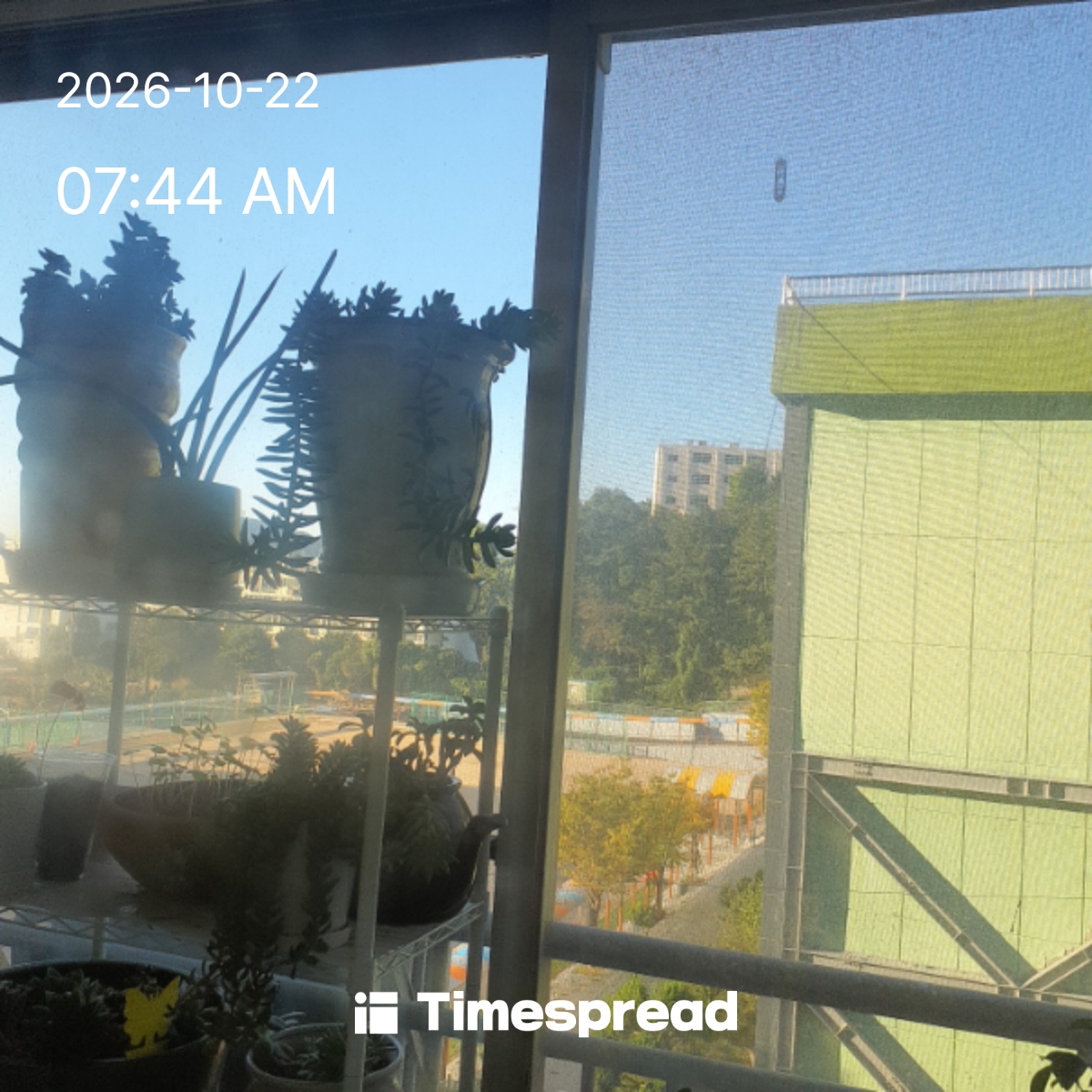 board-img