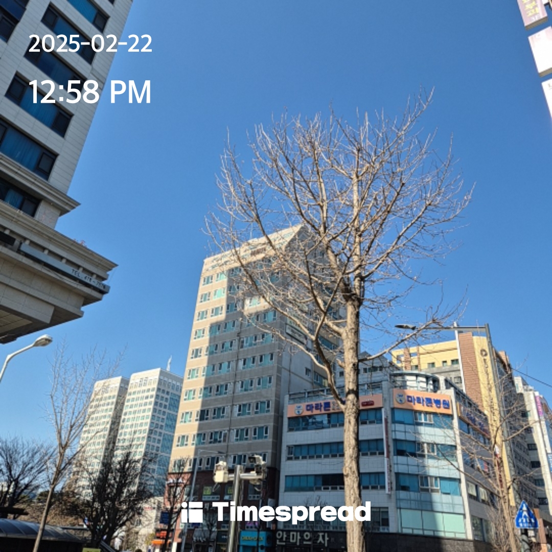 board-img