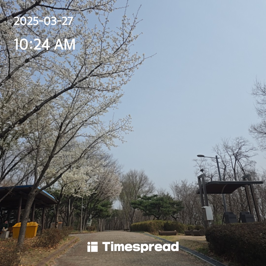 board-img