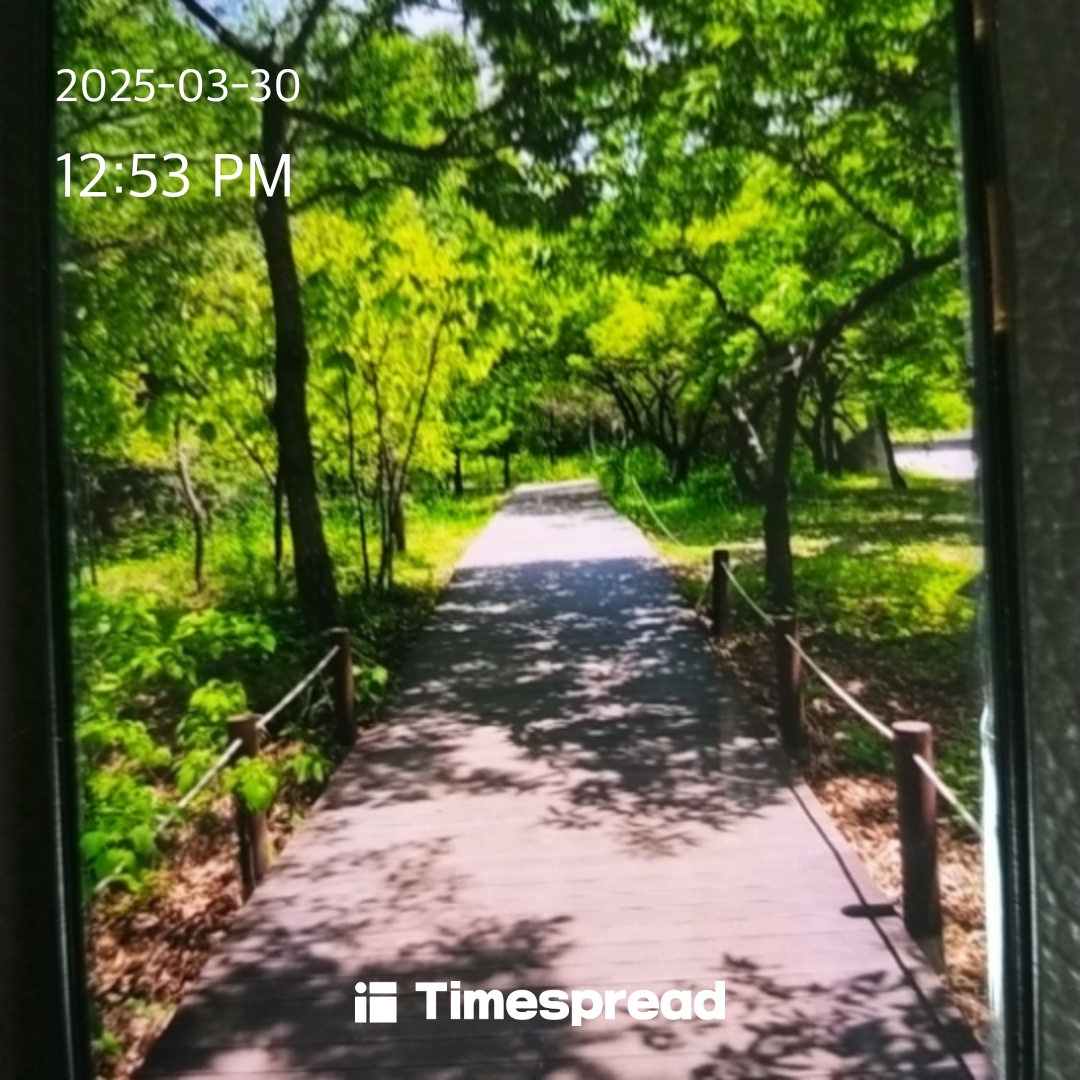 board-img
