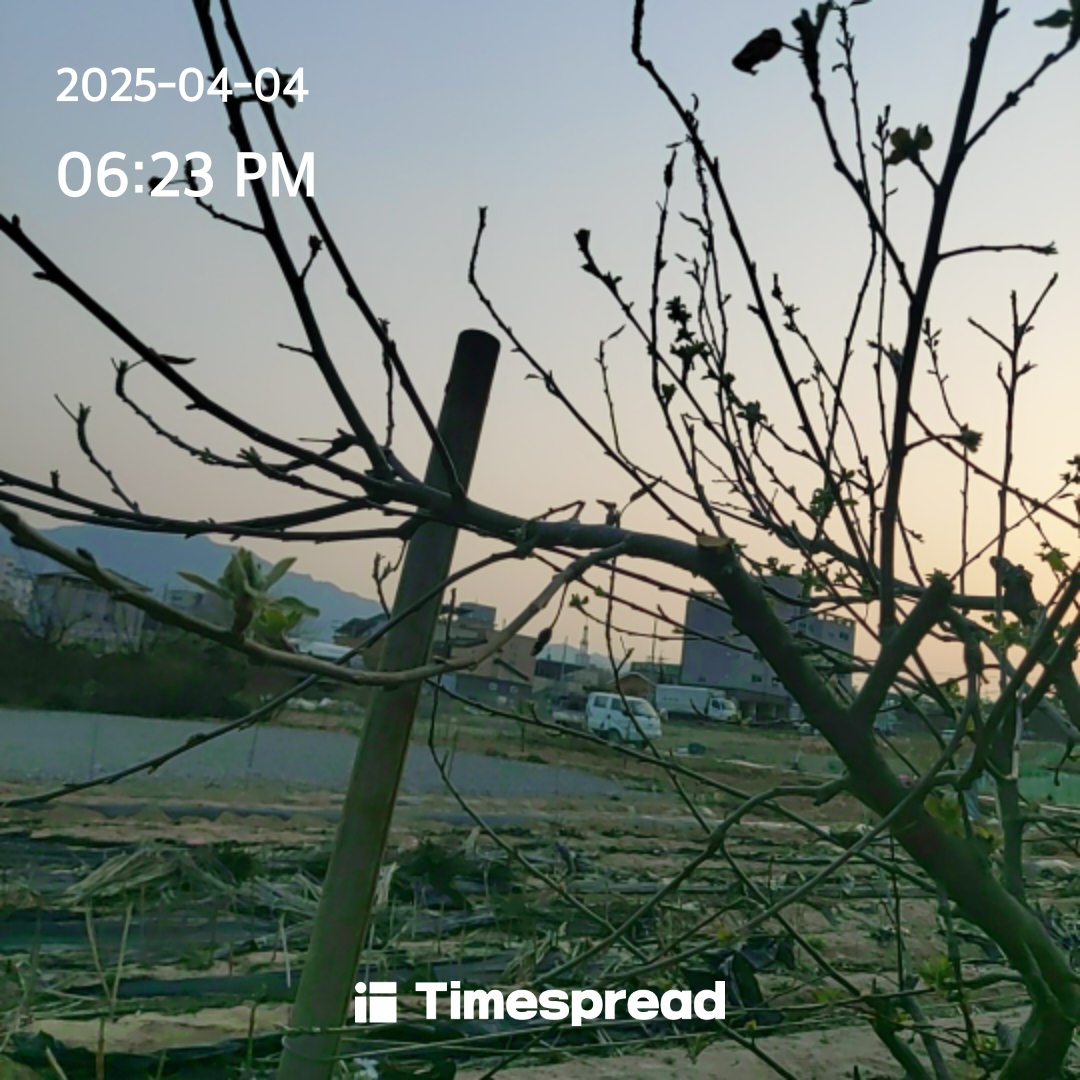 시골산책