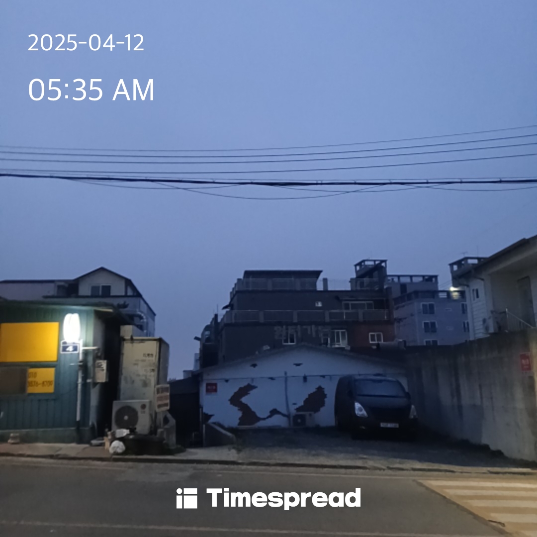 세벽